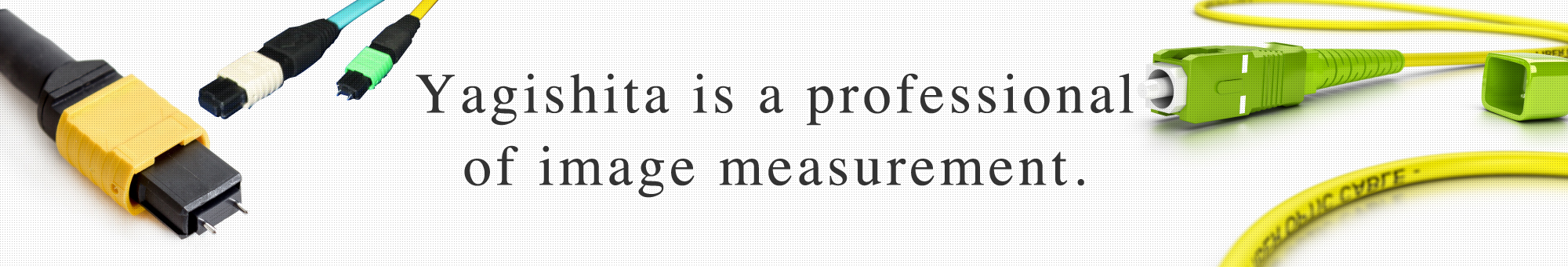 Yagishita is a professional of image measurement
